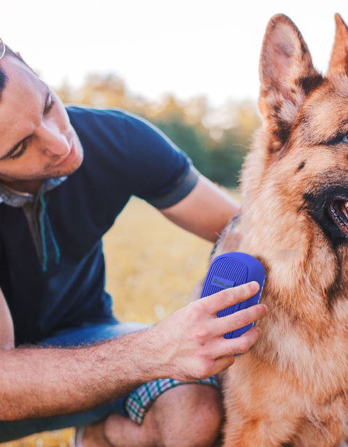 Load image into Gallery viewer, Dog Bath Scrubber Rubber Curry Comb &amp; Pet Grooming Brush with Non-Slip Grip, Blue
