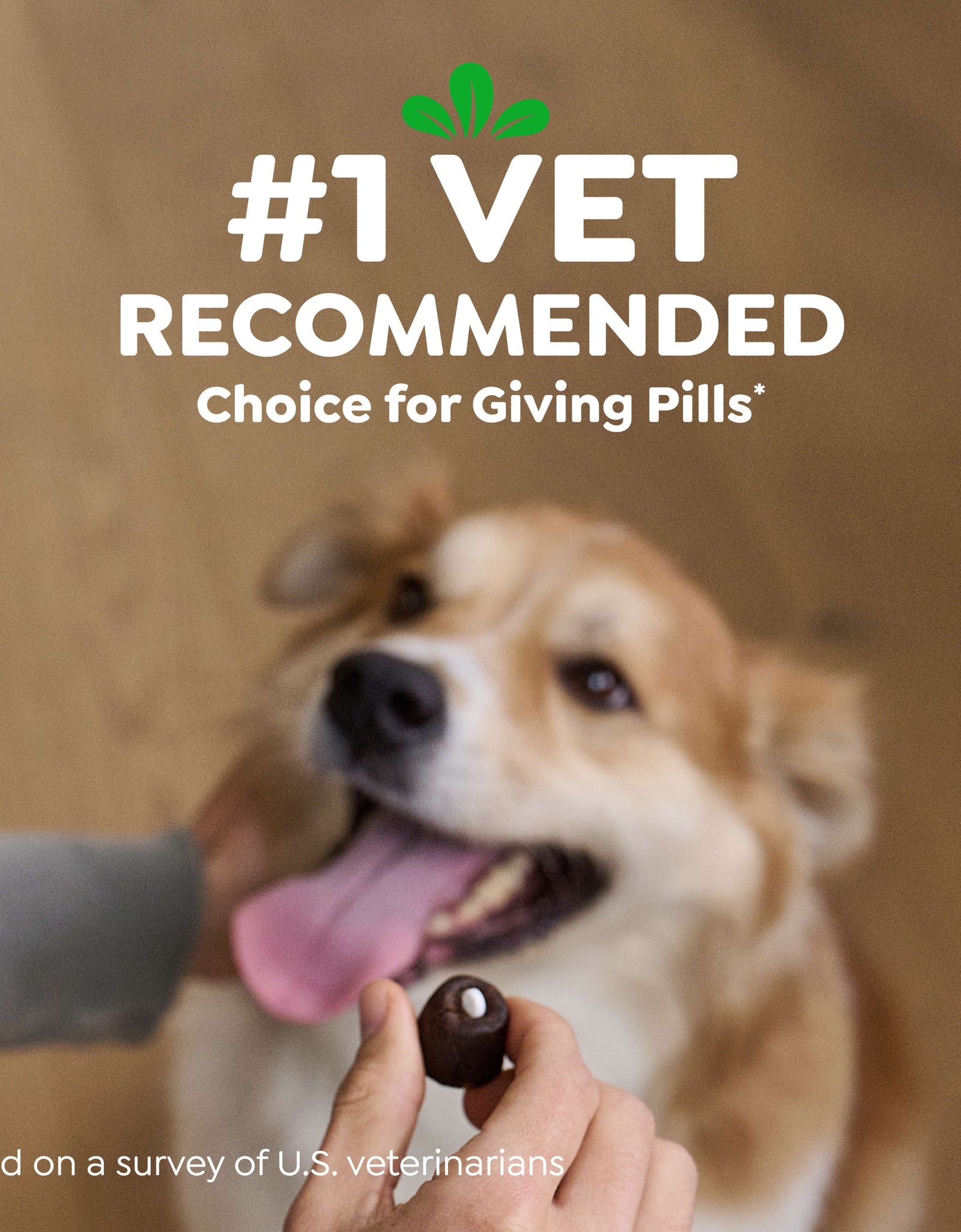 Pill Pockets for Dogs Hickory Smoke Large, Capsule Size Soft Dog Treats, 7.9 Oz (30 Pk)