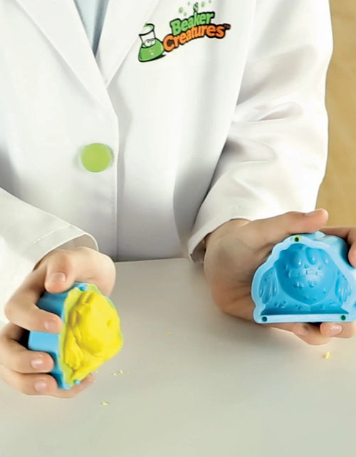 Load image into Gallery viewer, Beaker Creatures Alien Experiment Lab - 18 Pieces Boys and Girls Ages 5, 6, 7+ Science Toys, Science Kit for Kids
