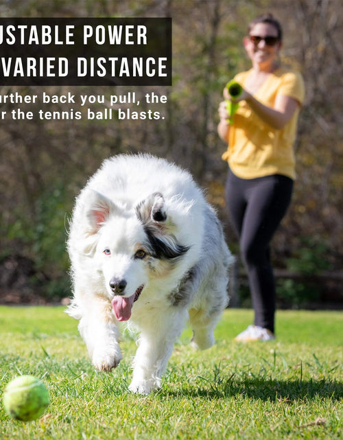 Load image into Gallery viewer, K9 Kannon K2 Juguete Interactivo Para Perro Lanzador De Pelotas
