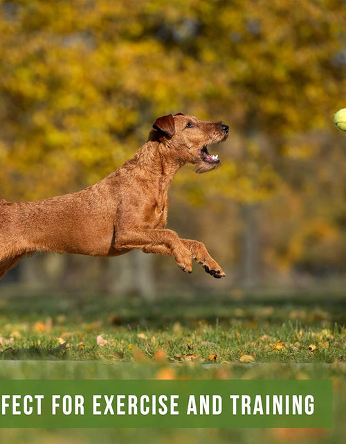 Load image into Gallery viewer, K9 Kannon K2 Juguete Interactivo Para Perro Lanzador De Pelotas
