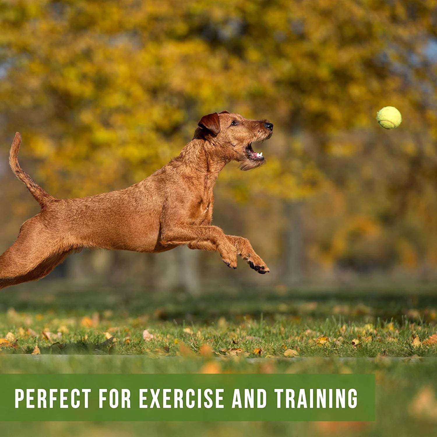 K9 Kannon K2 Juguete Interactivo Para Perro Lanzador De Pelotas